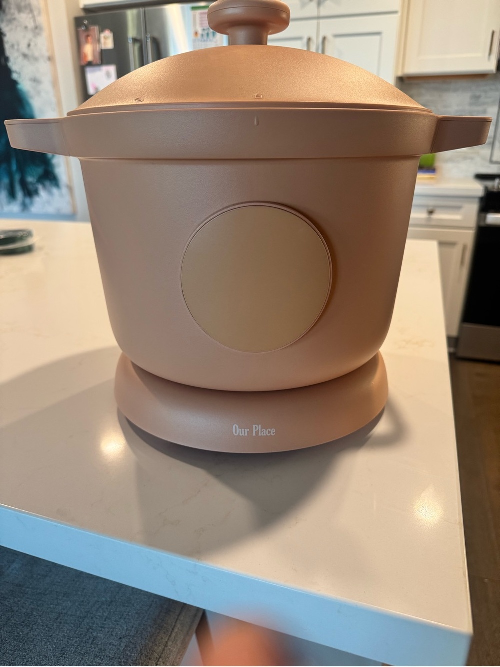 Our Place Dream Cooker in Spice - Multi-Function Electric Pot
